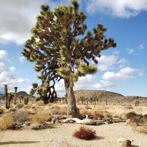 Meet your Posher, Yanet